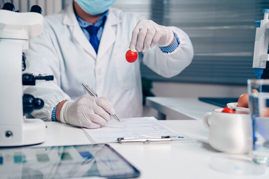 Food scientist inspecting a fresh tomato and recording quality control data in a laboratory to ensure food safety and product standards.
