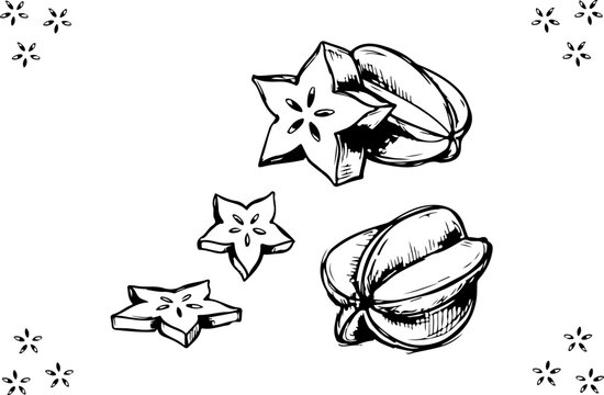 Starfruit Hand Drawn Illustration, Vintage Botanical Sketch Collection