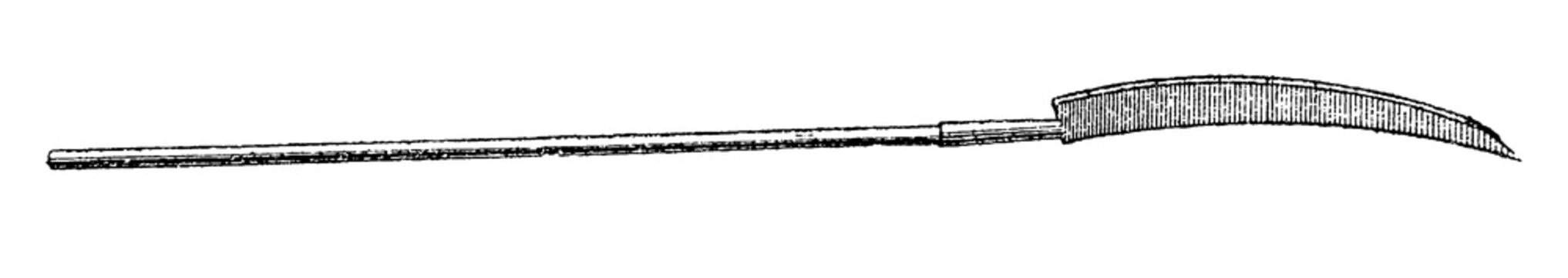 Fauchard, medieval polearm with a curved blade and a spike, old vintage illustration, 1897