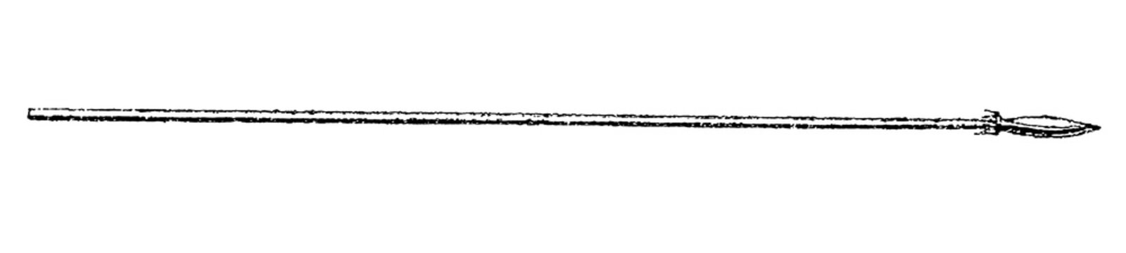 Javelin, light throwing spear with a pointed head and long shaft, old vintage illustration, 1897