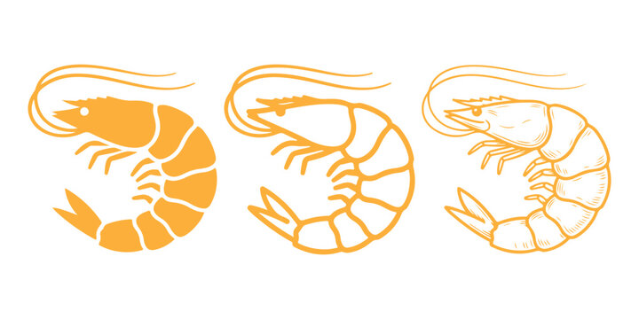 Set of three shrimp icons in different graphic styles