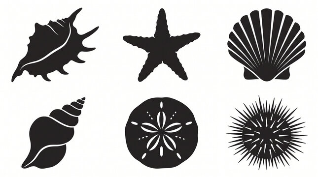 Set of black vector silhouettes of seashells and sea life on white background
