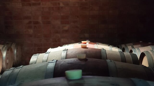 Rows of oak barrels rest inside a dimly lit brick cellar, showcasing traditional winemaking and wine maturation.