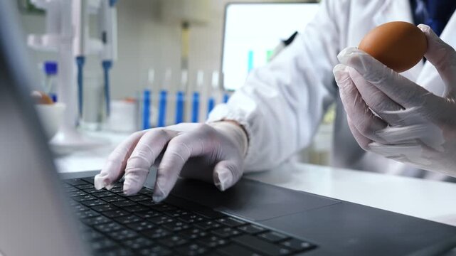 Laboratory scientist examining eggs and fresh produce under a microscope for food quality testing, safety analysis, and nutritional research.