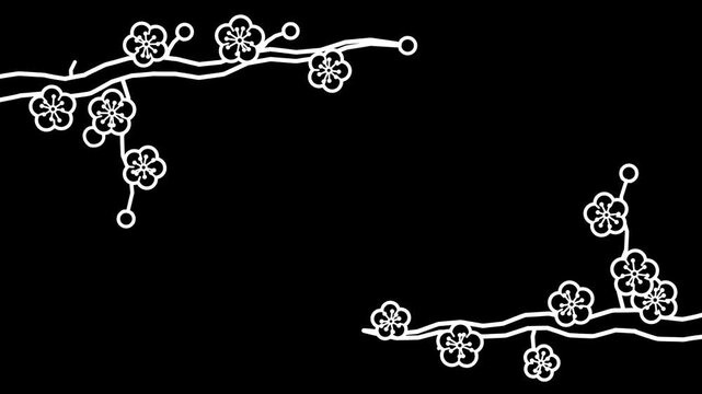 Plum Blossom Branches Grow and Bloom from Corners, White Line Drawing