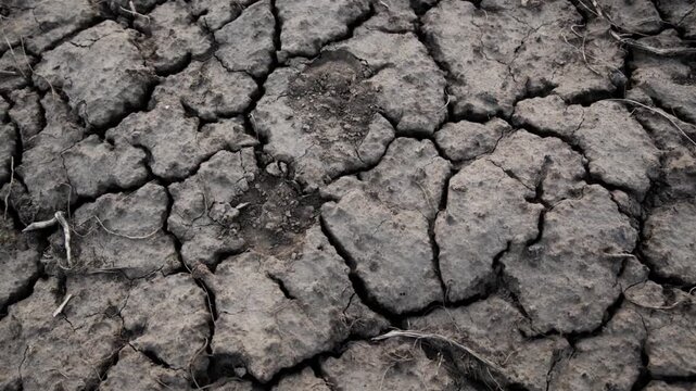 Close up of dry cracked earth and parched soil surface texture background