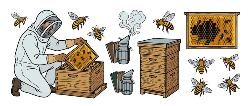 Beekeeper working with hive and bees, isolated illustration