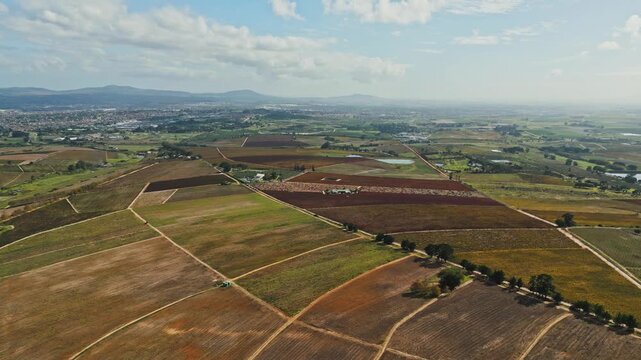 Autumn vineyard panorama reveals patterned wine fields in warm seasonal colors, divided by rural roads and tree lines, with settlements and layered hills beneath bright partly cloudy daytime
