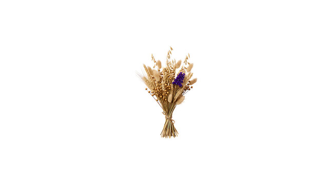 Dried flower bouquet with wheat and purple lavender isolated on