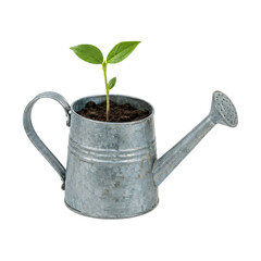 Small green plant seedling with two vibrant leaves grows in rich soil inside a rustic galvanized metal watering can, isolated on a white background © no one