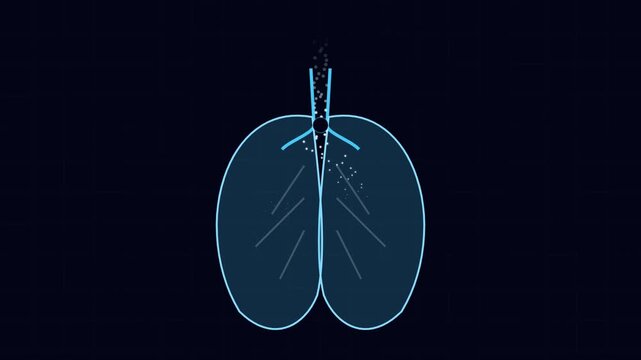 Digital Visualization of Pulmonary Respiration with Animated Lung Anatomy and Airflow Dynamics