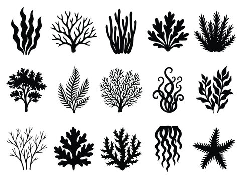 collection of Black Silhouette Seaweed, Coral, and Marine Plants Isolated on White