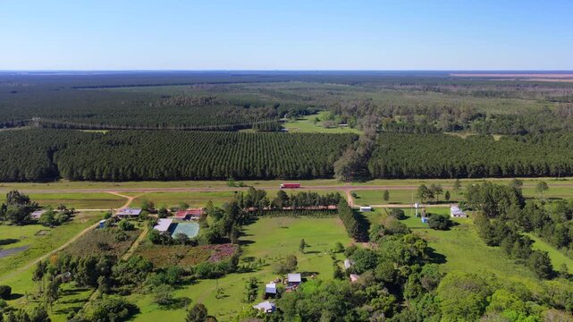 National Route 12 crosses expansive pine plantations in Corrientes Province, Argentina.