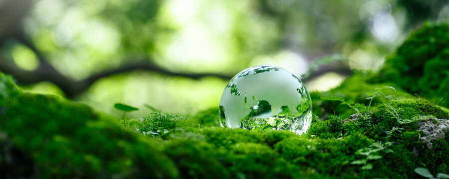 Crystal grass globe on moss in forest for Earth Day, sustainability environment, responsibility, conservation, net zero, climate action, renewable energy, circular economy, and ESG concept