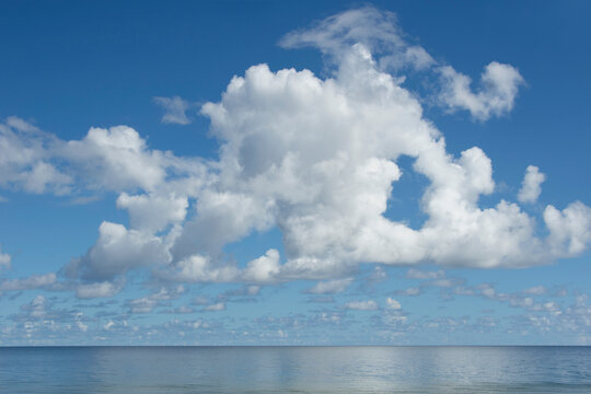 White puffy clouds above calm Apalachicola Bay