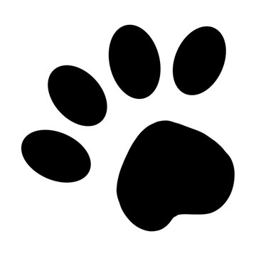 cat paw print