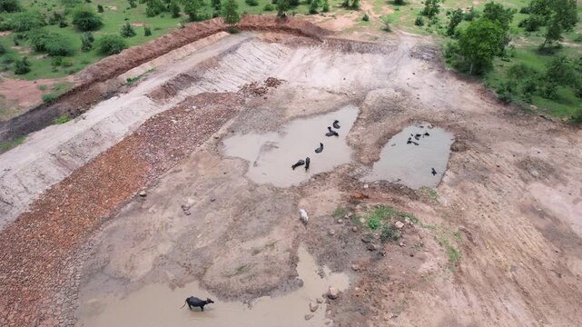 Water buffalo stand and wallow in shallow muddy pools across a partially dried reservoir. A forward-moving drone shot reveals exposed earth, a curved stone embankment, and sparse vegetation.