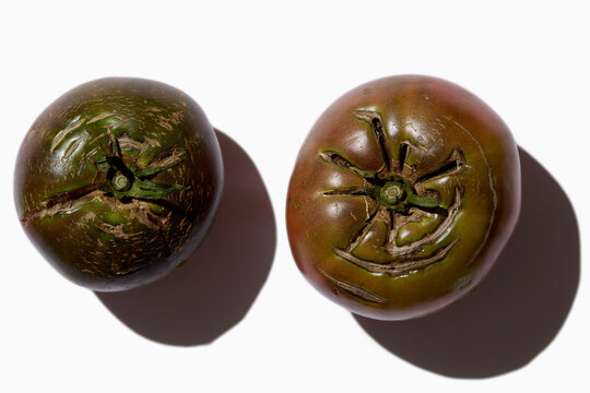 Overhead view of heirloom tomatoes on white background