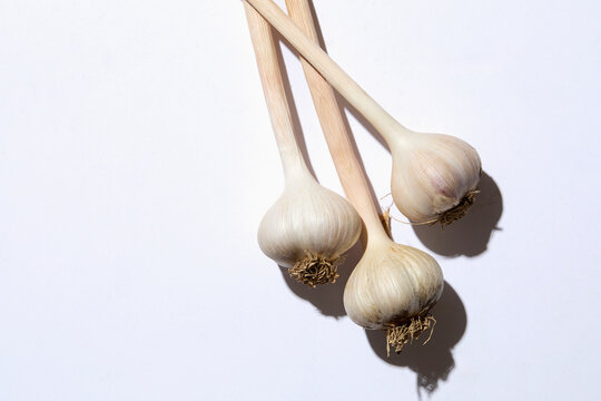 Fresh garlic bulbs on white background