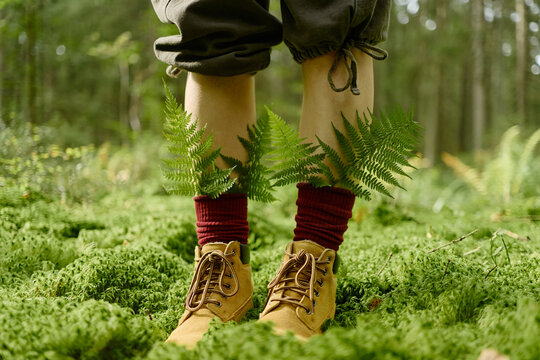 Young adult standing on mossy forest ground with green fern leaves tucked in socks. Imagery suitable for sustainable travel promotion, eco tourism, and environmental protection campaigns