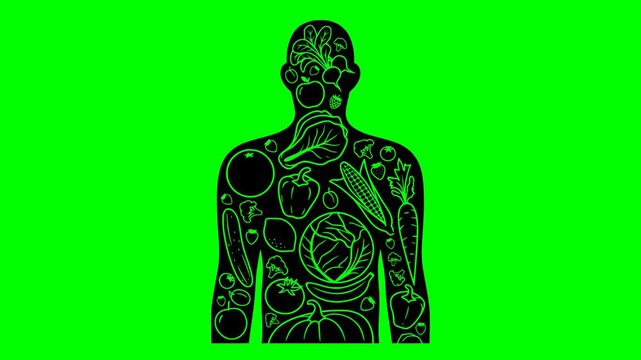fresh illustration video animation harvest vegetable food silhouette organic logo healthy icon agriculture green raw diet vegetables market vegetarian outline nutrition natural vegan for green screen 