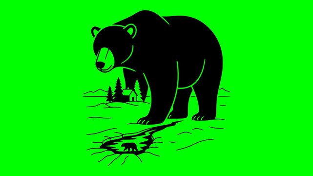 bear illustration video animation wildlife arctic animal silhouette white logo polar icon mammal winter cold character ice cute illustration outline snow cartoon wild for green screen footage