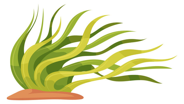 Growing kelp. Underwater wild botany cartoon icon