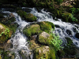 small waterfall in the forest © Biljana Nik