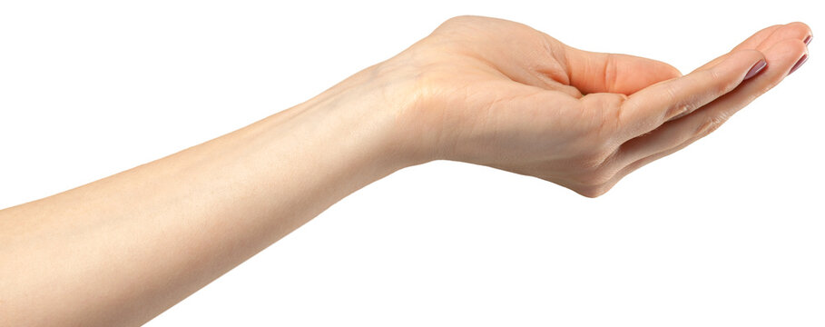 Open hand held out for giving or receiving, with fingers extended and palm facing up