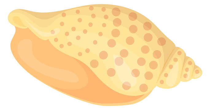 Scotch bennet shell cartoon icon. Beach seashell