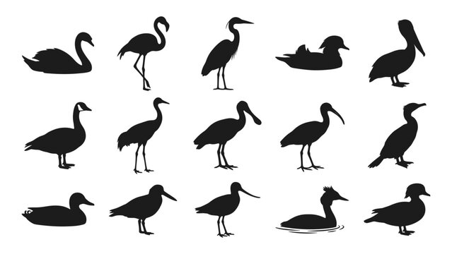 Waterbird Silhouettes, Collection of solid black wetland bird vectors including flamingo, swan, heron, pelican, and duck
