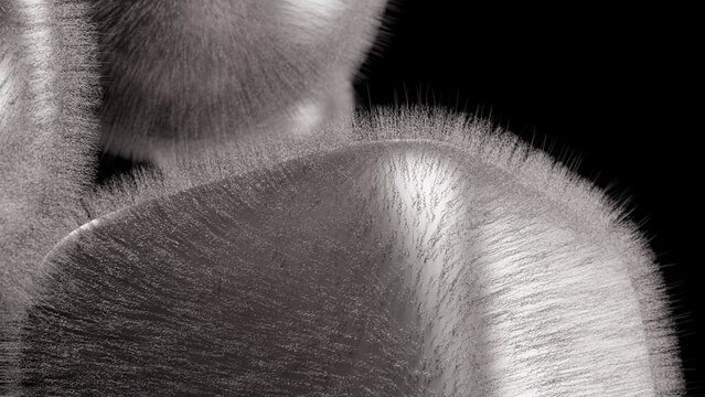 Microscopic close-up showing fine hairlike fungal structures