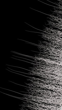 Abstract digital wireframe network with complex lines