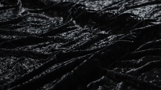 Dark gnarled tree roots sprawling across eerie forest ground creating creepy natural background pattern