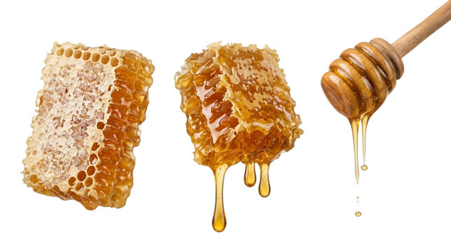Honeycomb pieces and honey dipper with dripping syrup with two segments on transparent background