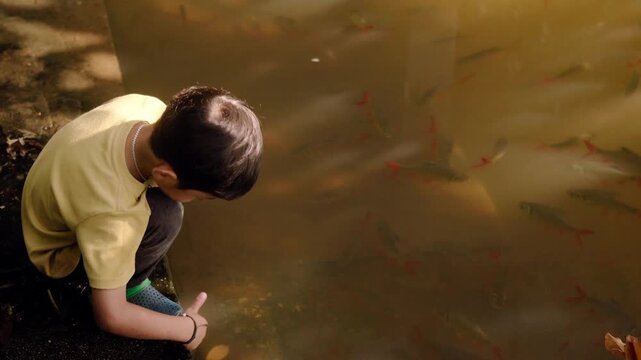 A young Asian boy squats beside a pond, observing small fish swimming in murky water under warm morning sunlight, discovering aquatic life through outdoor exploration and hands-on nature learning.