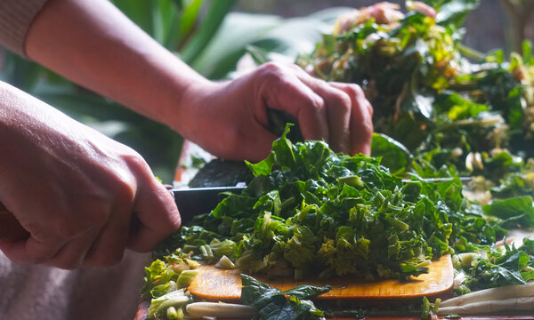 Extreme close-up of a knife chopping fresh green spinach.