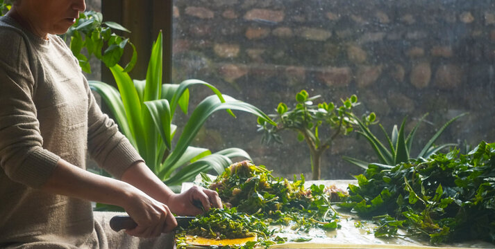 Woman cutting fresh spinach for traditional Uzbek green somsa.