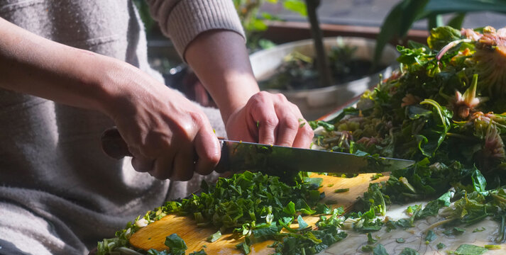Woman cutting fresh spinach for traditional Uzbek green somsa.