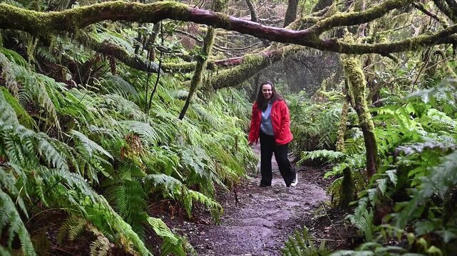 A walker in a red jacket moves deeper into a misty stretch of the Anaga laurel forest. Solitude inside protected island wilderness for slow travel and mental reset content.