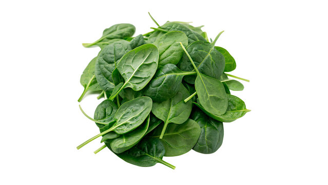 Fresh green spinach leaves bunch full of vitamins, isolated on transparent background.