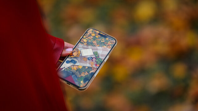 Hand holding a smartphone to photograph an autumn arrangement against colorful foliage
