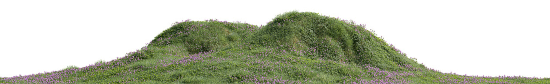 Lush green grass mound with blooming purple wildflowers isolated on transparent background.  3D rendering PNG asset for garden design