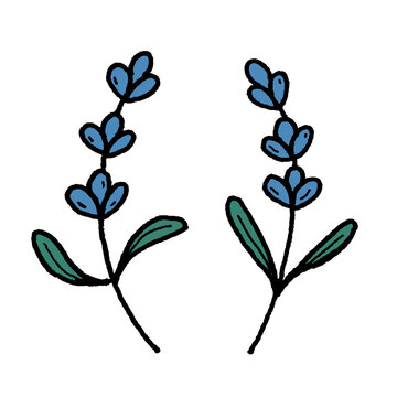 Hand-drawn icon illustration of two lavender sprigs with green leaves, blue flowers isolated on transparent background for spa branding, botanical cosmetics packaging, herbal craft UI, game inventory.
