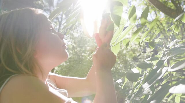Cute little girl examines lush tree leaves holding magnifying loupe under bright sun. Enthusiastic child observes botany in backyard while sunlight filters through vibrant summer foliage.