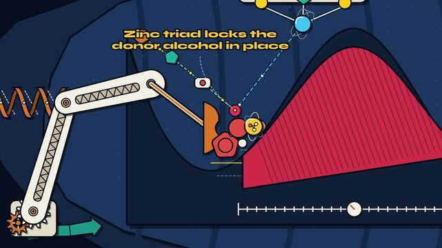 Animation explaining quantum tunneling in enzymes showing how protein hinges flex to squeeze the energy barrier allowing a hydrogen atom to tunnel through as a probability wave
