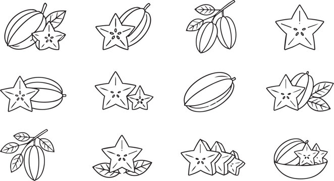 Starfruit carambola fruit icons set in flat line style