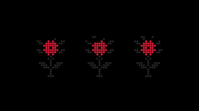 Ukrainian red and black beaded flowers and rosettes with reveal animation, alpha channel and transparent background, folk embroidery overlay