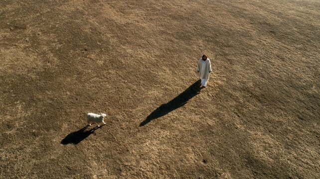 Shepherd guiding sheep on dry field long shadows emphasizing spiritual journey and wilderness survival