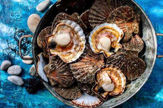 Scallops in their shells arranged in a rustic bowl